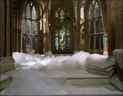 Nous voici maintenant au cinquième étage, dans la Salle de Bain des Préfets. Elle est visible dans "Harry Potter et la Coupe de Feu". Que cherche à faire Harry Potter dans cette salle de bain ?