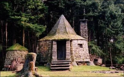 Le garde-chasse Rubeus Hagrid habite dans une cabane à la lisière de la Forêt Interdite. Dans quel épisode de la saga adaptée au cinéma ne voit-on pas la cabane de Rubeus Hagrid ?