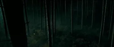 Justement, parlons de la Forêt Interdite. Elle apparaît lors de quelques films dans la saga. Dans "Harry Potter et la Coupe de Feu", à quel nouveau personnage Rubeus Hagrid fait-il découvrir les dragons ?