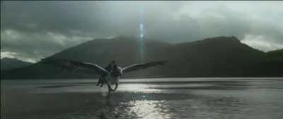 Poudlard peut aussi se vanter d'avoir un lac. Il est mis en valeur dans "Harry Potter et le Prisonnier d'Azkaban" lorsque Harry Potter vole sur le dos d'un Hippogriffe. Comment s'appelle-t-il ?