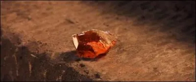 Lors de la première année, dans "Harry Potter à l'école des sorciers", Harry Potter et ses amis visitent les coins les plus inconnus de Poudlard afin de retrouver la Pierre Philosophale. Quelle personne était allée la chercher à Gringotts en début d'année ?