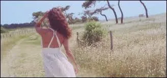 Qui chante " Marcher au soleil" ?