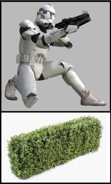 Quelle est l'activité principale du George(s) en question ?