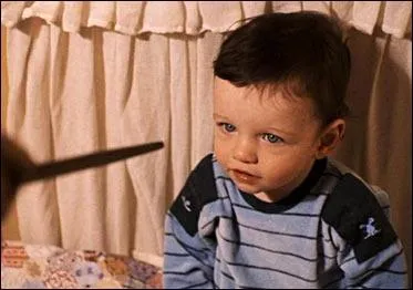 Les Potter tentent de se cacher mais leur Gardien du Secret, Peter Pettigrow, les trahit. Lord Voldemort retrouve James et Lily Potter à Godric's Hollow. Le Seigneur des Ténèbres tentent de tuer Harry Potter mais l'Avada Kedavra rebondit et Lord Voldemort est vaincu. Pourquoi le sort a-t-il rebondi ?