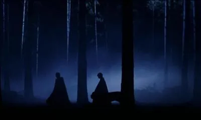 Les dix années ayant suivi sa chute, de 1981 à 1991, Lord Voldemort disparaît à nouveau. Il est maintenu en vie par ses Horcruxes. Dans quel endroit se retire-t-il et attend-t-il ?