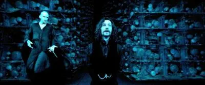 Nous sommes en 1995. Le début de la Seconde Guerre des Sorciers est effectif. Dans "Harry Potter et l'Ordre du Phénix", Lord Voldemort cherche une prophétie. Il ne peut cependant pas la prendre lui-même. Lord Voldemort attire donc Harry Potter jusqu'au Département des mystères en lui envoyant une fausse vision pendant ses examens. Qu'y a-t-il dans cette vision ?