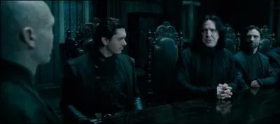 Voyant que la bataille s'éternise, Lord Voldemort convoque Severus Rogue. Il est persuadé à tort qu'il est le maître de la Baguette de Sureau. Il se trompe. Pourquoi Severus Rogue n'en est-il pas le maître ?