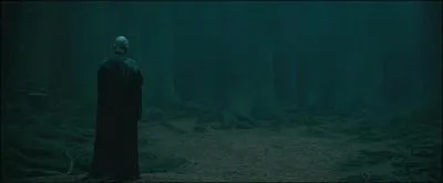 Peu après avoir commis une erreur irréparable en ayant demandé à Nagini de tuer Severus Rogue, il accorde une heure d'armistice aux armées fidèles à Harry Potter. Il souhaite que Harry Potter se rende sinon il anéantira Poudlard. Où ce rendez-vous doit avoir lieu ?