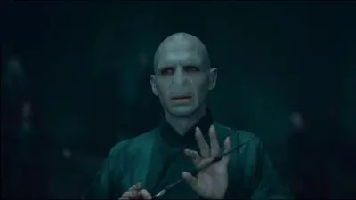 Attention ! Question pour vous départager ! Replongez-vous dans toute la saga ! Combien de baguettes magiques Tom Elvis Jedusor / Lord Voldemort a-t-il eu en sa possession ?