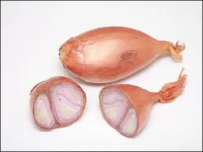 En juillet, de quel bulbe finement ciselé allez-vous agrémenter vos préparations ?