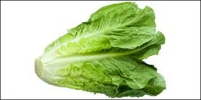 Que ne pourrez-vous consommer en janvier ?