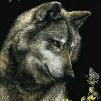 Par quel musicien a été écrit "Pierre et le loup" ?