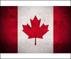 En terme de superficie, le Canada est le plus grand pays du monde.