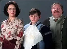 Quel est le nom du fils de la famille Dursley ?