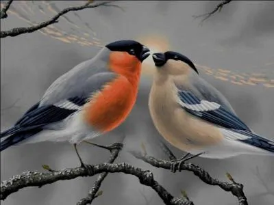 Une personne atteinte "d'agraphie" refuse de s'alimenter.