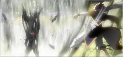 (Épisode 99)
Que se passe-t-il lors du combat entre Natsu et Gildarts ? 
(2 réponses)