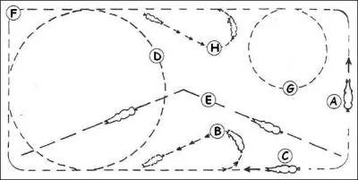 Quelle est la figure H ?