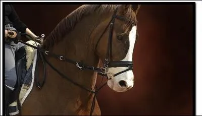 Si on est piste à main gauche, notre main droite est à :