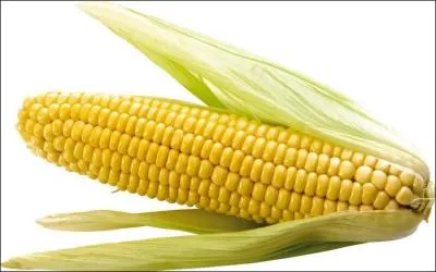 Quel est cet aliment ?