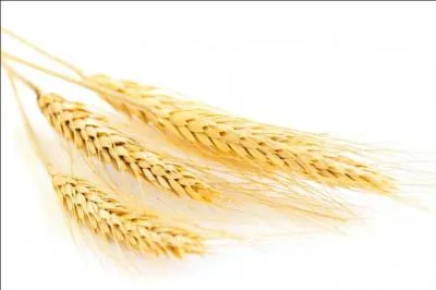 Quel est cet aliment ?