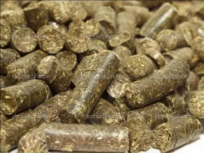 Quels sont ces aliments ?