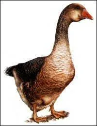 Je vais essayer de rester synthé... tique.
Quel est le bon prénom ?