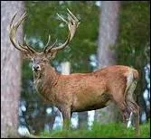 Si, si, c'est bien une fille et c'est la plus jolie (en principe) !