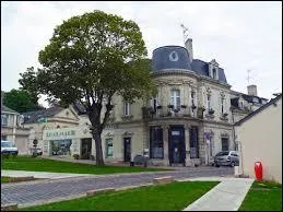 Plus grande commune Angevine en superficie, Longué-Jumelles se situe en région ...