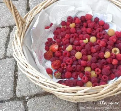 Ce petit fruit à saveur sucrée accompagnée, selon les variétés, d'une pointe d'acidité, est fragile et délicat. Présenté dans le commerce en barquettes pour le protéger des chocs, c'est...