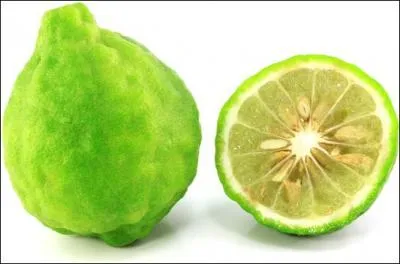 Récolté principalement pour l'huile contenue dans son écorce, quel est ce fruit ressemblant à une orange à chair verdâtre ?