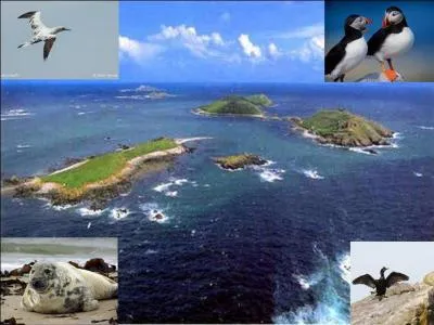 Certains Bretons doivent penser que les Français sont de mauvais linguistes ! En plus, ils doivent avoir remarqué qui nous ne savons pas compter ! Si vous êtes un « fan d'animaux », n'hésitez pas à aller y faire une visite ! 
Quel est cet archipel ?