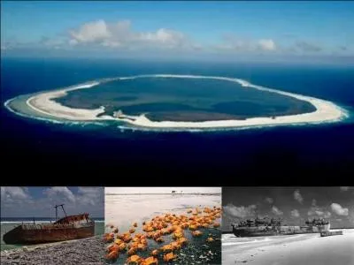 Cette île est plutôt un atoll. Il se situe à environ 12 000 km de la métropole est à 1280 km du Mexique. Inhabitée, elle est régulièrement visitée pour sa faune et sa flore. Hélas, en l'an 2000, elle subit l'invasion de rats qui provoquèrent de gros dégâts écologiques sur l'île. L'île fut occupée par les USA pendant la 2e Guerre mondiale.
Où sommes-nous ?
