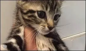 Quel jeu ne faut-il pas faire ?