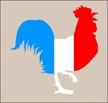 D'où la France tient-elle son emblème qu'est le coq ?