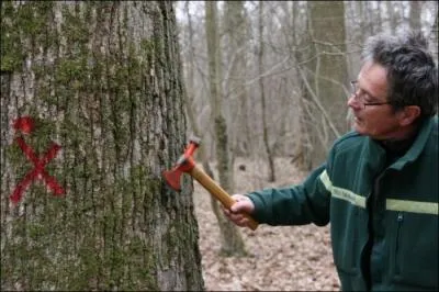 Indice métier : il ne perd pas ses bois, il les garde.
Indice célébrité : son frère est né quelque part à San Francisco.
Quel est le prénom de la célébrité ?