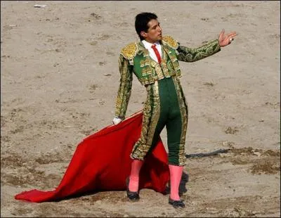 Indice métier : il donne le coup de grâce.
Indice célébrité : allez ola olé, zumba he zumba ha ! 
Quel est le prénom de la célébrité ?