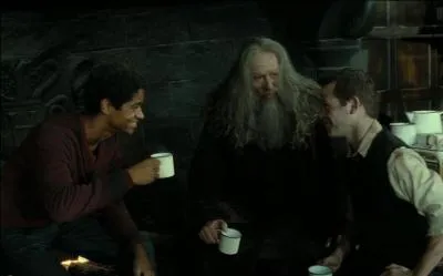Trois membres de l'Armée de Dumbledore sont décédés durant la Bataille de Poudlard : Fred Weasley, Lavande Brown et Colin Crivey. Sur l'image, quels sont les deux membres de l'organisation qui discutent avec Abelforth Dumbledore après la bataille ?