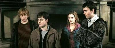 Les étudiants de Gryffondor, Poufsouffle et Serdaigle approuvent finalement cette idée. Harry Potter dirigera l'Armée de Dumbledore. Combien compte-t-elle de membres environ ?