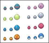 D'après les couleurs de ces œufs, quand ils écloront, ce seront ... (1 réponse)
La question est sur les œufs de la colonne 1, ligne 1 et 2 et sur la colonne 2, ligne 3 et 4, dans cet ordre-là.