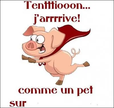 Un pet peu filer, mais sur quelle surface ?