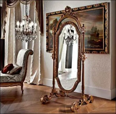 Comment se nomme ce miroir ?
