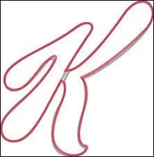 Quelle marque correspond à ce logo ?