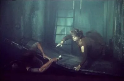 Ce film catastrophe réalisé par Ronald Neame (1972) raconte l'histoire d'un paquebot de croisière retourné en pleine mer par une lame de fond. Un groupe de survivants tente de remonter jusqu'à la coque afin d'espérer échapper à la mort. Au casting, Gene Hackman, Ernest Borgnine ou encore Shelley Winters.