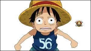 Qui est le père de Luffy ?