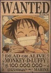 Pour quelle raison la prime de Luffy est-elle montée à 100 millions de berrys ?