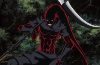 Je suis le zanpakutô de Shûhei Hisagi. Je me nomme :