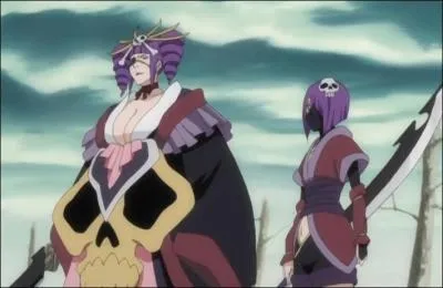 Je suis le zanpakutô de Shunsui Kyôraku. Je me nomme :