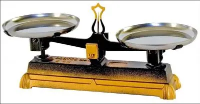 Quel est son poids ?