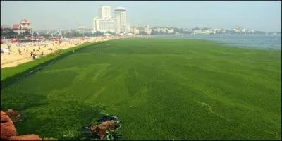 Quelle est cette mer pas très propre ?