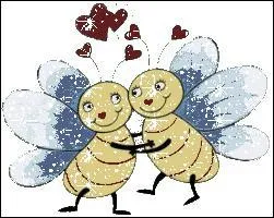 A quoi rêvent ces petites abeilles ?